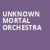 Unknown Mortal Orchestra, Knitting Factory Spokane, Spokane