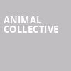 Animal Collective, Knitting Factory Spokane, Spokane